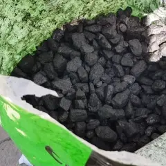 Ekogroszek PGG: Jakie są zalety i wady tego opału w sezonie grzewczym?