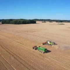 Gospodarstwa rolne w Polsce: Jakie są największe i najbardziej znane farmy?