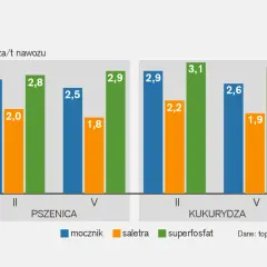 Aktualne ceny superfosfatu: porównanie najtańszych ofert w regionach
