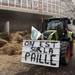 Strajk rolników we Francji: Przyczyny, skutki i najnowsze aktualności