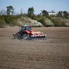 Czerwony traktor z siewnikiem precyzyjnym na polu. Rolnik dba o to, jak głęboko siać rzepak, by zapewnić mu optymalne warunki do wzrostu.