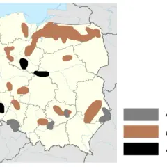 Najżyźniejsza gleba - czarnoziem kluczem do obfitych plonów