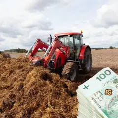  Ceny obornika 2023 - ile kosztuje tona obornika bydlęcego? Atrakcyjne oferty