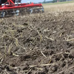 Ile azotu na słomę: optymalna dawka dla zdrowej gleby