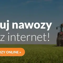 Jakie nawozy pod zboża zapewnią najwyższe plony i zdrowe rośliny