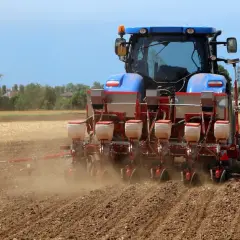 Siewnik do warzyw punktowy - jak wybrać najlepszy?