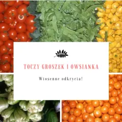 Toczygroszek: jak zamawiać świeże warzywa i owoce z dostawą do domu