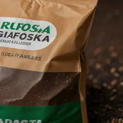 Jak prawidłowo stosować Agrafoskę - wszystko o właściwościach nawozu