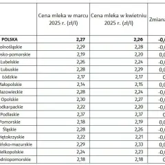 Jakie są aktualne ceny mleka w skupie? Poradnik dla rolników 2025