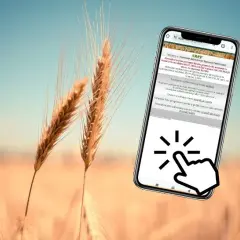 Pomoc de minimis w rolnictwie: Jak sprawdzić dostępność i warunki?