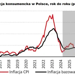 Inflacja w Polsce: Jakie są obecne prognozy i analiza sytuacji ekonomicznej?