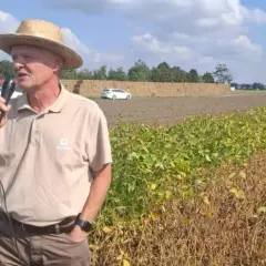 Dopłaty do soi: Jakie są najnowsze zmiany i co warto wiedzieć?