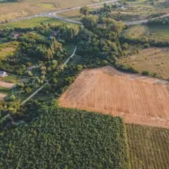 Ceny działek rolnych: Jakie są obecne stawki i co wpływa na ceny?