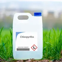 Chloropiryfos: kluczowe informacje o czasie działania insektycydu
