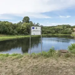 Staw jako zbiornik retencyjny: funkcje i korzyści dla rolnictwa