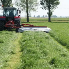Uprawa traw na gruntach ornych: klucz do efektywnej produkcji paszy