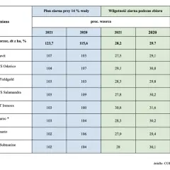 Najbardziej plenne odmiany kukurydzy: Lista sprawdzonych rozwiązań 2025