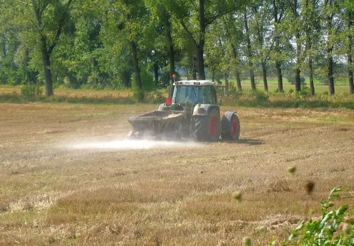 Traktor rozsypuje nawóz na polu. Wapnowanie gleby kiedy najlepiej? Jesień lub wczesna wiosna to idealny czas.