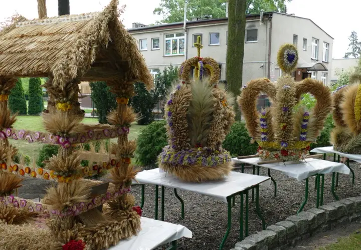 Kwiaty ze zboża jak zrobić: Twórz piękne dekoracje na żniwa