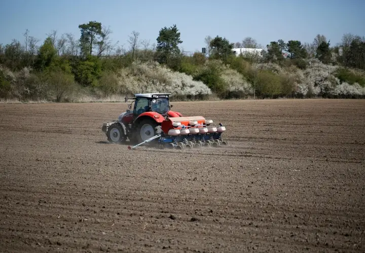 Czerwony traktor z siewnikiem precyzyjnym na polu. Rolnik dba o to, jak głęboko siać rzepak, by zapewnić mu optymalne warunki do wzrostu.