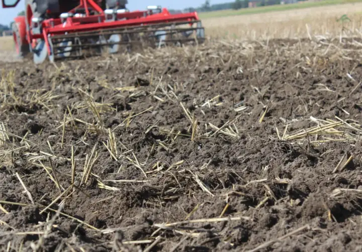 Ile azotu na słomę: optymalna dawka dla zdrowej gleby