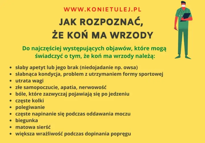 Objawy wrzodów u konia: 5 kluczowych sygnałów ostrzegawczych