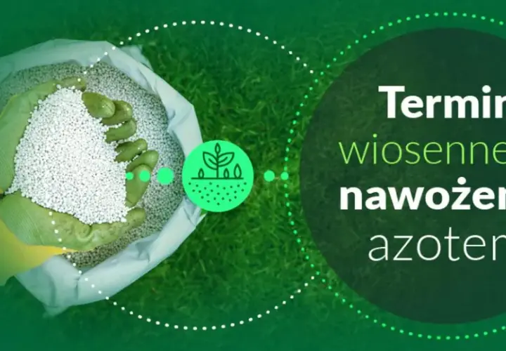 Kiedy można siać nawozy azotowe wiosną? Sprawdź kluczowe warunki