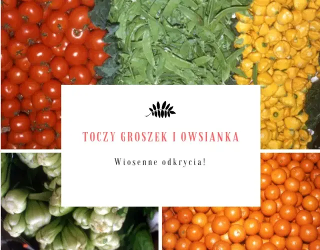 Toczygroszek: jak zamawiać świeże warzywa i owoce z dostawą do domu