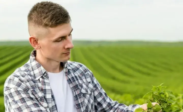 Jak zostać rolnicą w Polsce: niezbędne kwalifikacje i wymagania 2025