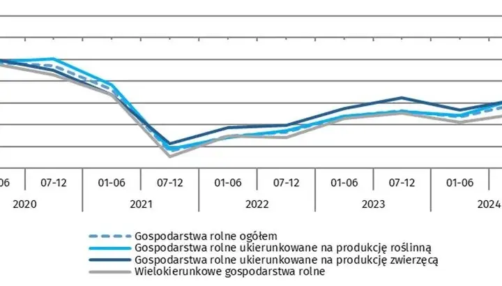 Rynek rolny w Polsce: aktualne ceny, prognozy i trendy