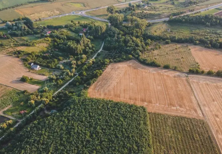 Ceny działek rolnych: Jakie są obecne stawki i co wpływa na ceny?