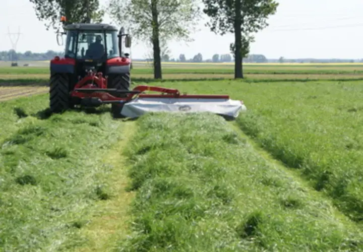 Uprawa traw na gruntach ornych: klucz do efektywnej produkcji paszy