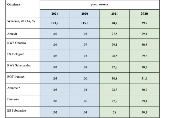 Najbardziej plenne odmiany kukurydzy: Lista sprawdzonych rozwiązań 2025