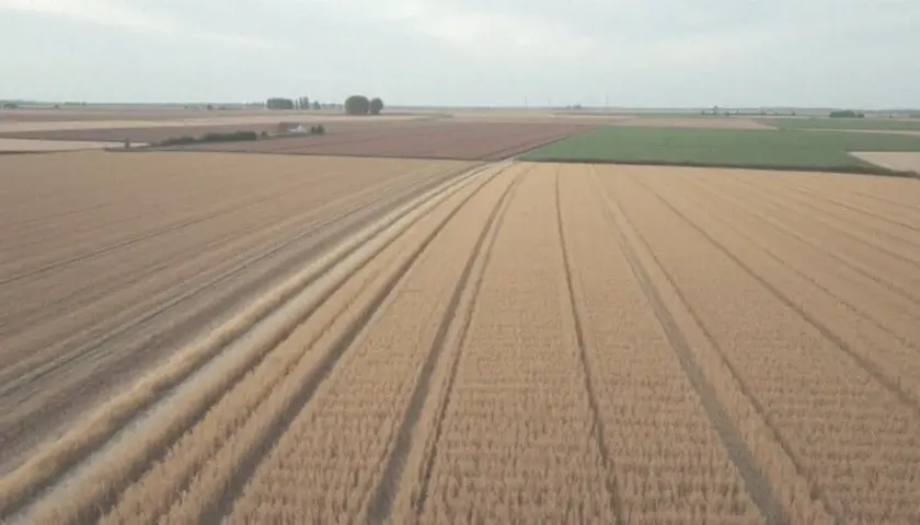 Jakie są aktualne dopłaty do ugoru? Co zmieniają nowe przepisy?