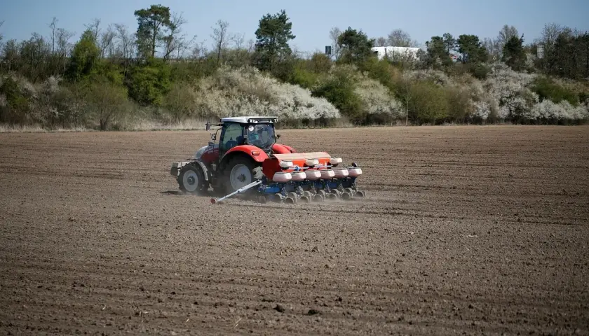 Czerwony traktor z siewnikiem precyzyjnym na polu. Rolnik dba o to, jak głęboko siać rzepak, by zapewnić mu optymalne warunki do wzrostu.