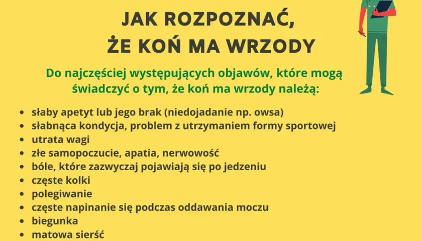 Objawy wrzodów u konia: 5 kluczowych sygnałów ostrzegawczych