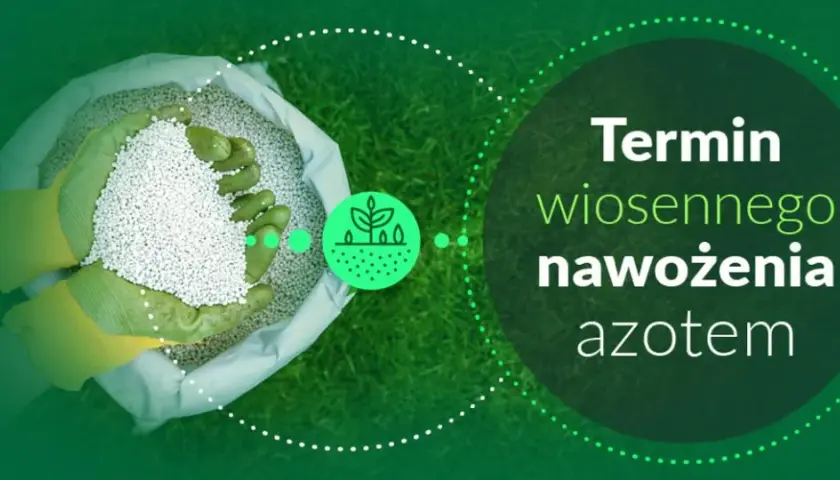 Kiedy można siać nawozy azotowe wiosną? Sprawdź kluczowe warunki