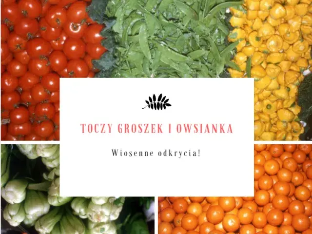 Toczygroszek: jak zamawiać świeże warzywa i owoce z dostawą do domu