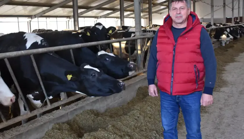 Embriotransfer u bydła: Ile kosztuje i czy się opłaca?