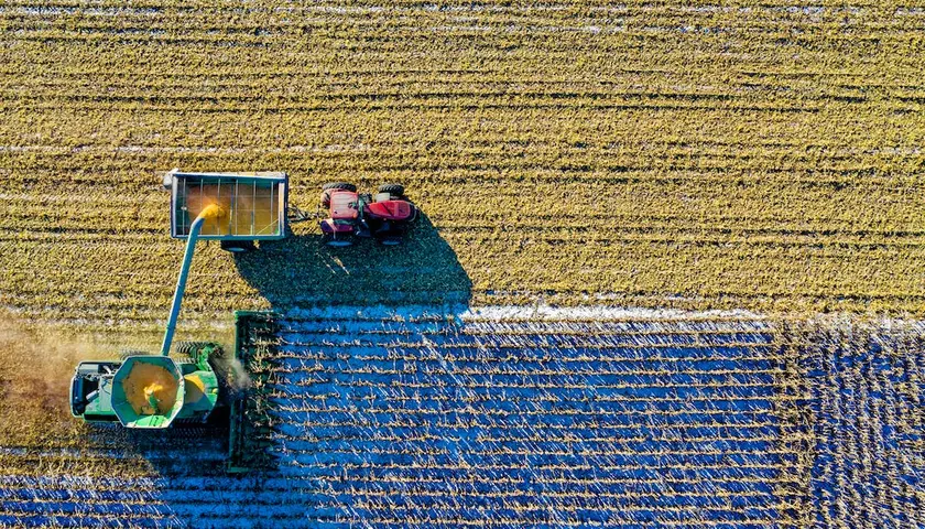  1ha to 10000m2! Ile metrów ma 1 ar? Jak przeliczyć ary na m2 i hektary?
