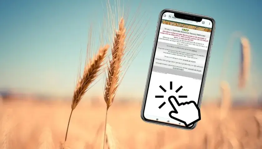 Pomoc de minimis w rolnictwie: Jak sprawdzić dostępność i warunki?
