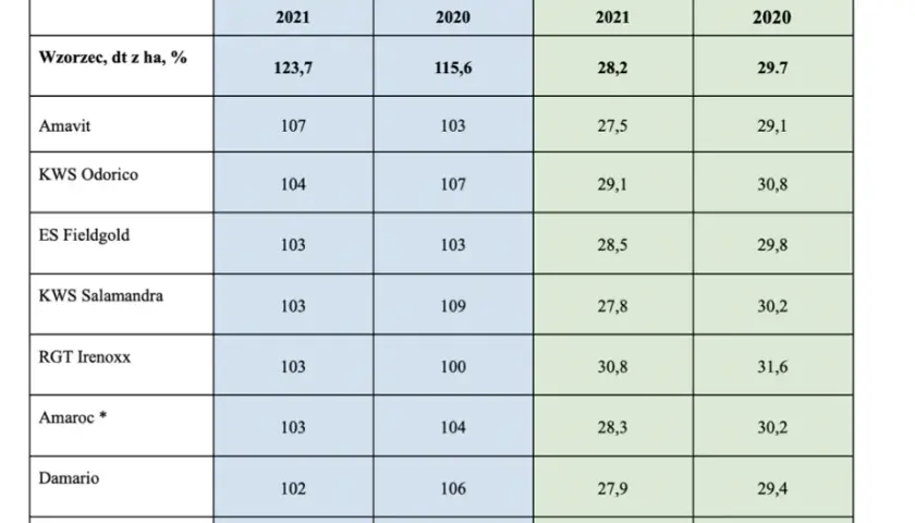 Najbardziej plenne odmiany kukurydzy: Lista sprawdzonych rozwiązań 2025