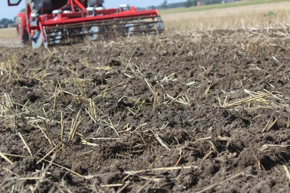 Ile azotu na słomę: optymalna dawka dla zdrowej gleby