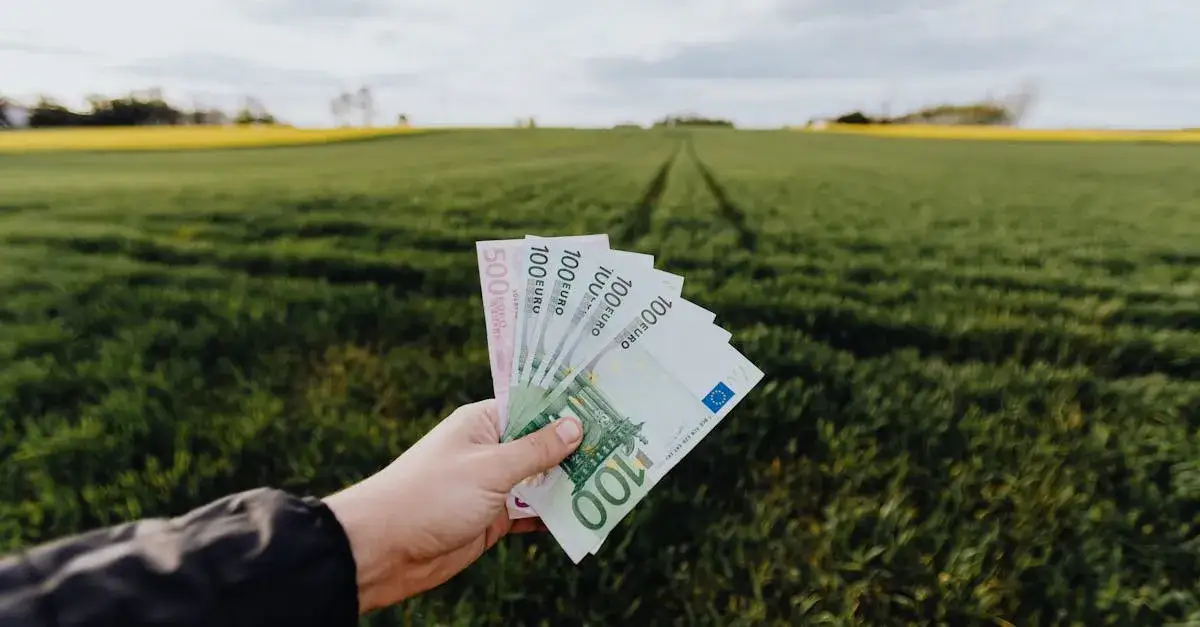 Zdjęcie Dopłaty do kukurydzy: Co warto wiedzieć o wsparciu finansowym?