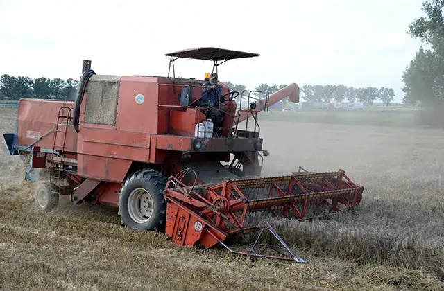 Zdjęcie Kombajn Bizon Z056 - najlepszy kombajn pod słońcem? Zobacz dlaczego warto go kupić